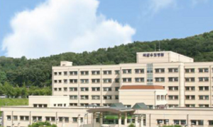 국군수도병원